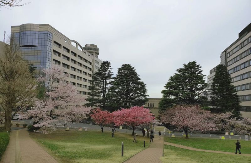 định hướng tương lai